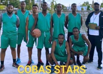 COBAS F