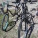 IMG 20210212 WA0056