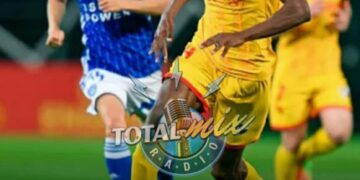 242228493 245850417550689 2306298714929152476 n