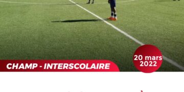 FOOT – EXPATRIÉS : TOUR D&rsquo;HORIZON SUR LA D2F EN FRANCE