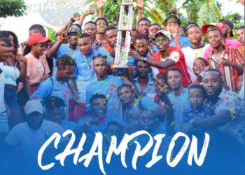 COUPE DU GRAND SUD : L&rsquo;APACHE PALOMA CHAMPION