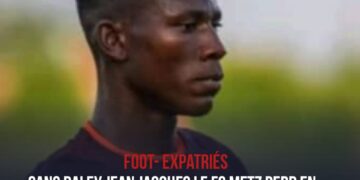 FOOT – EXPATRIÉS/ FRANCE : LE HAVRE AC SANS PITIÉ POUR PLACIDE ET SC BASTIA