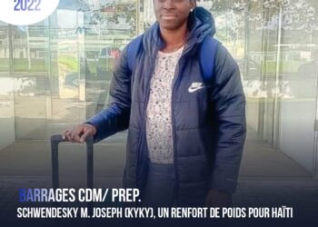 FOOT – EXPATRIÉS : COUPE DE LA ROUMANIE, CHINDIA TARGOVISTE ET ARGES PITESTI DE BRIYAN ALCÉUS DOS Á DOS