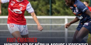 D 1 ARKEMA : REMONTÉ À LA 3E PLACE, MONTPELLIER RÉALISE UNE PRÉCIEUSE VICTOIRE FACE AU STADE DE REIMS