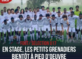 D1 ARKEMA : LYON S’IMPOSE FACE À MONTPELLIER DE NÉRILIA MONDÉSIR