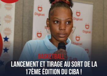 BASKET – FORMATION :  » DEVENIR OFFICIEL 3X3 FHB », PROGRAMME DE DEIX JOURS À PETIT-GOÂVE !