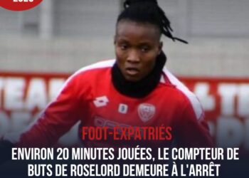 FOOT-EXPATRIÉS : MATCH NUL ENTRE DIJON DE ROSELORD ET SOYAUX