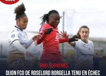 FOOT-EXPATRIÉS : ENCORE UNE JOURNÉE OBSCURE POUR DIJON FCO DE BORGELLA