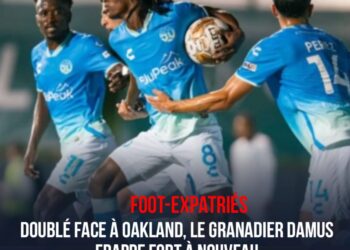 FOOT-EXPATRIÉES : ROSELORD BORGELLA ET LE HAVRE ONT CHUTÉ LOURDEMENT