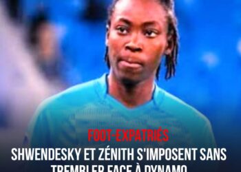 FOOT/EXPATRIÉES : ZÉNITH ENCORE AU TOP, SHWENDESKY ENTRÉE EN COURS DE JEU
