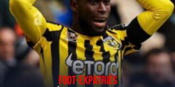 Foot/Expatriés : Leçon donnée par PSV Eindhoven à Vitesse Arnhem d&rsquo;Arcus Carlens