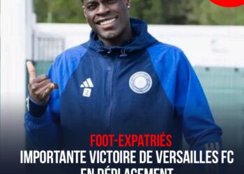 Foot/Expatriés / Eredivisie : Retrait de 18 points, le Vitesse Arnhem d’Arcus Carlens relégué