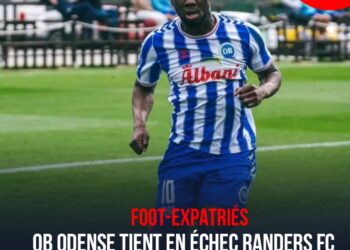 Foot/Expatriés / Eredivisie : Retrait de 18 points, le Vitesse Arnhem d’Arcus Carlens relégué