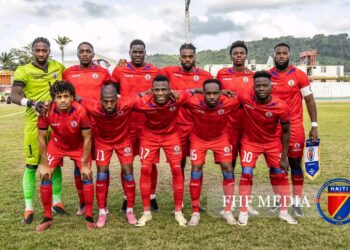 FHF / Licence : 11 équipes de D1 sur 18 jugées correctes