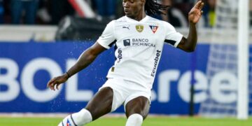 FHF / Licence : 11 équipes de D1 sur 18 jugées correctes