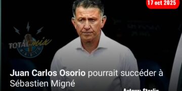 Foot-Expatriés : 4e clean-sheet pour Gaël Alette